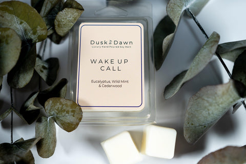 Wake Up Call - Eucalyptus, Wild Mint & Cedarwood Soy Wax Melt Cubes - Dusk by Dawn